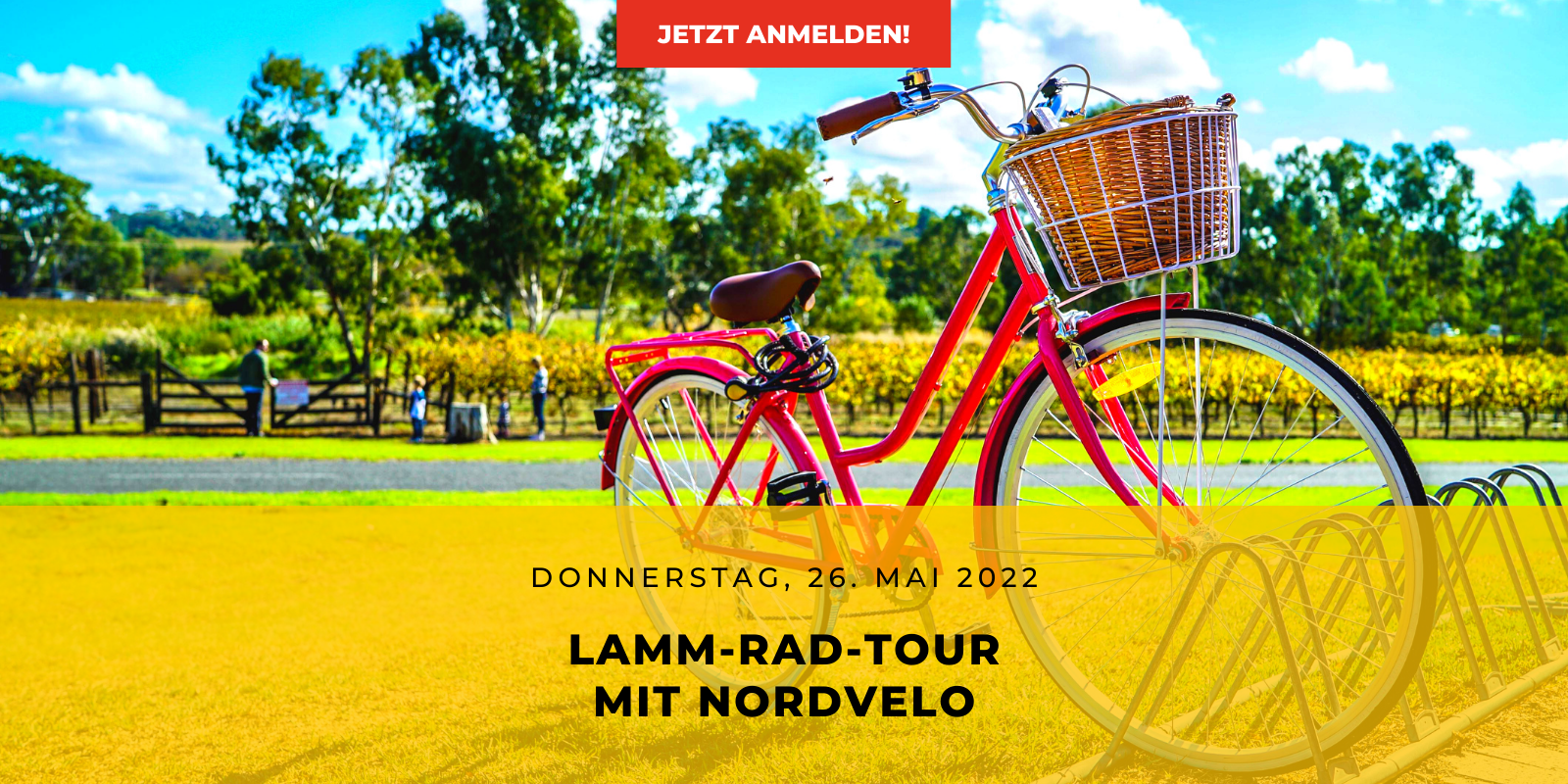 Nordfrieslamm