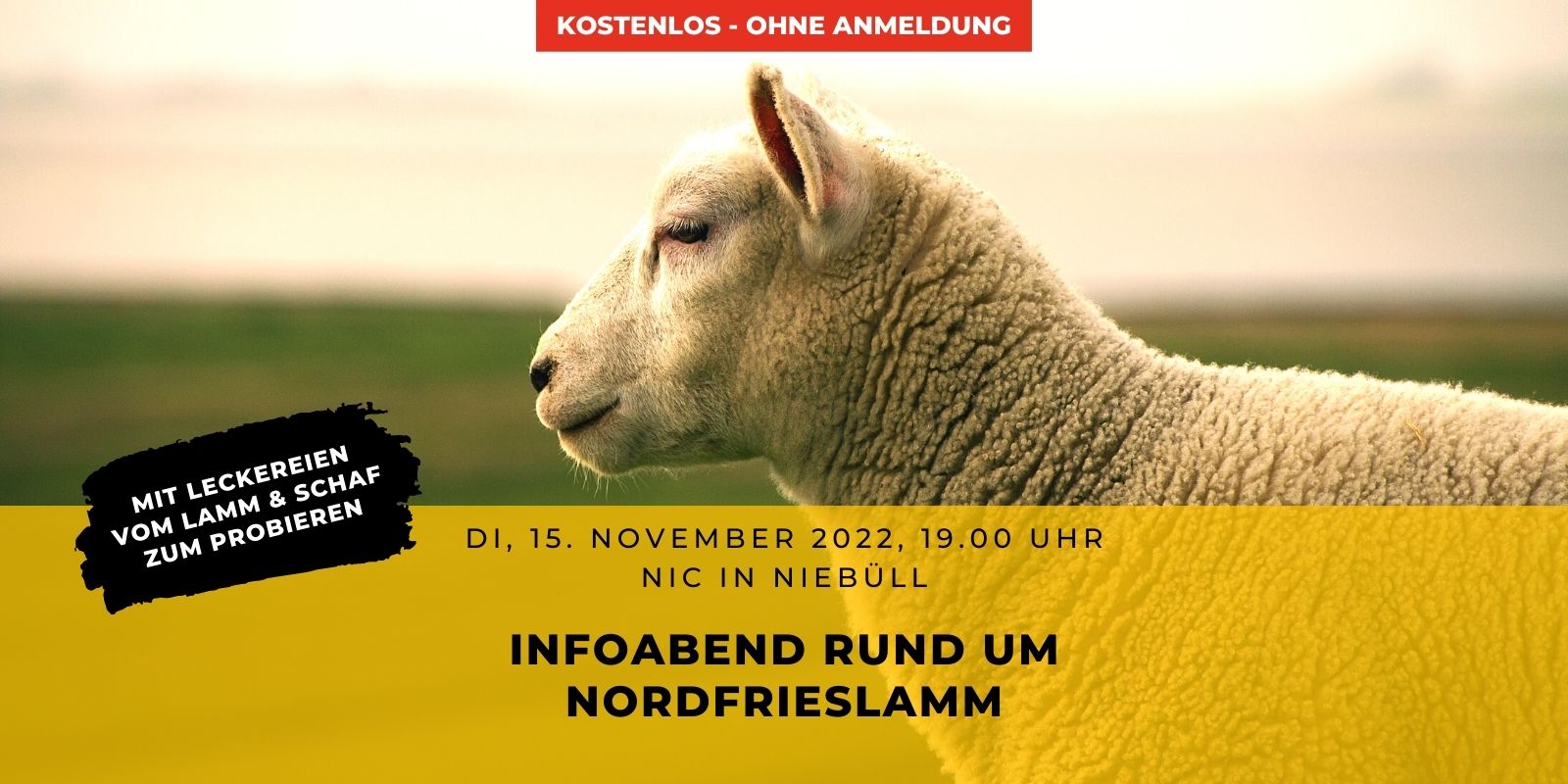 Nordfrieslamm